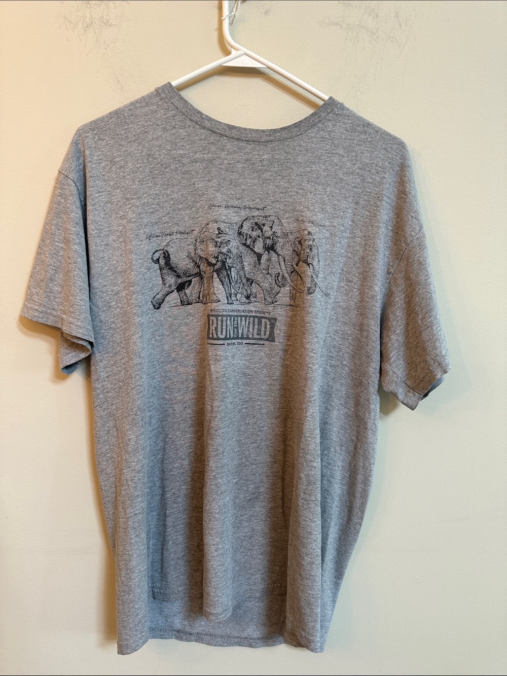 Run Wild Graphic Short-Sleeve Tee — Gray